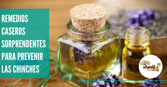 Remedios Caseros Sorprendentes Para Prevenir Las Chinches